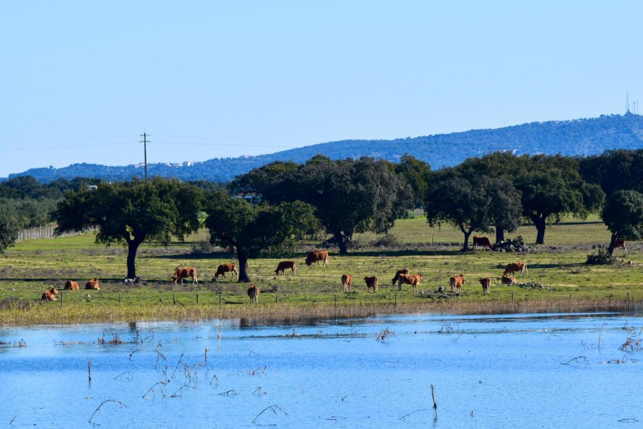 Herdade Da Burquilheira Family Retreat Alcacovas Экстерьер фото