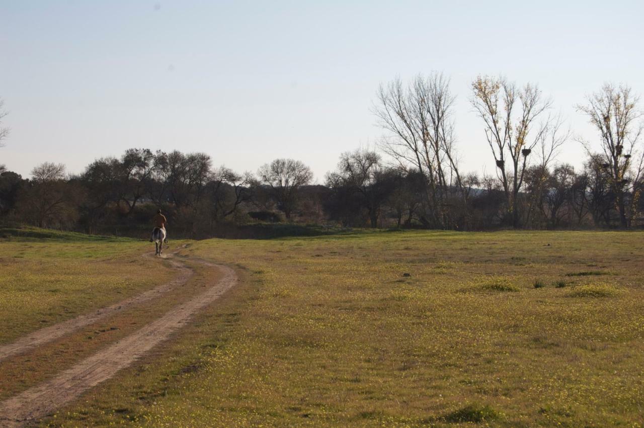 Herdade Da Burquilheira Family Retreat Alcacovas Экстерьер фото
