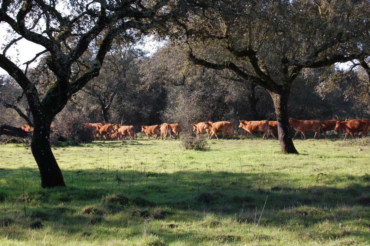Herdade Da Burquilheira Family Retreat Alcacovas Экстерьер фото