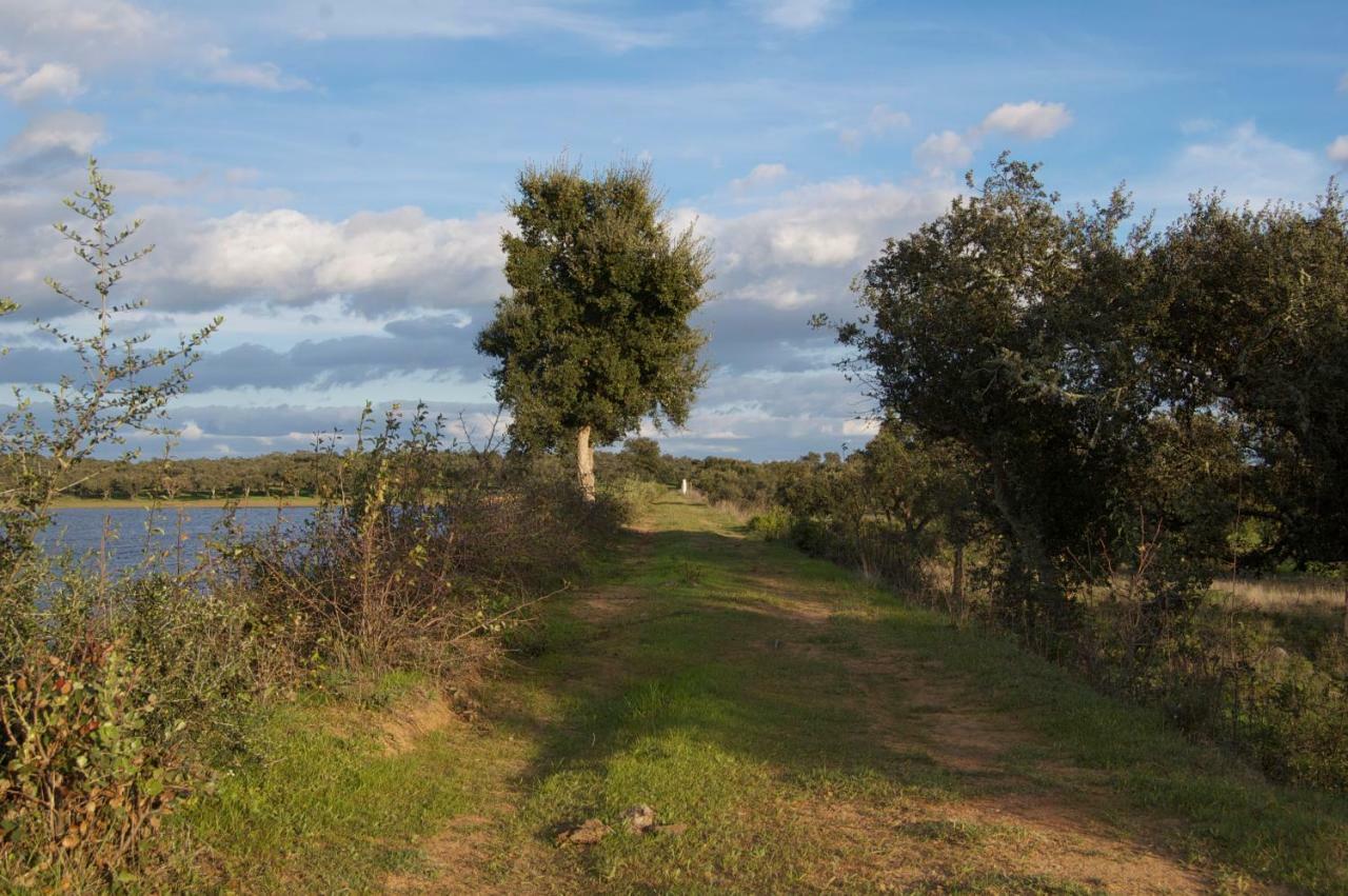 Herdade Da Burquilheira Family Retreat Alcacovas Экстерьер фото
