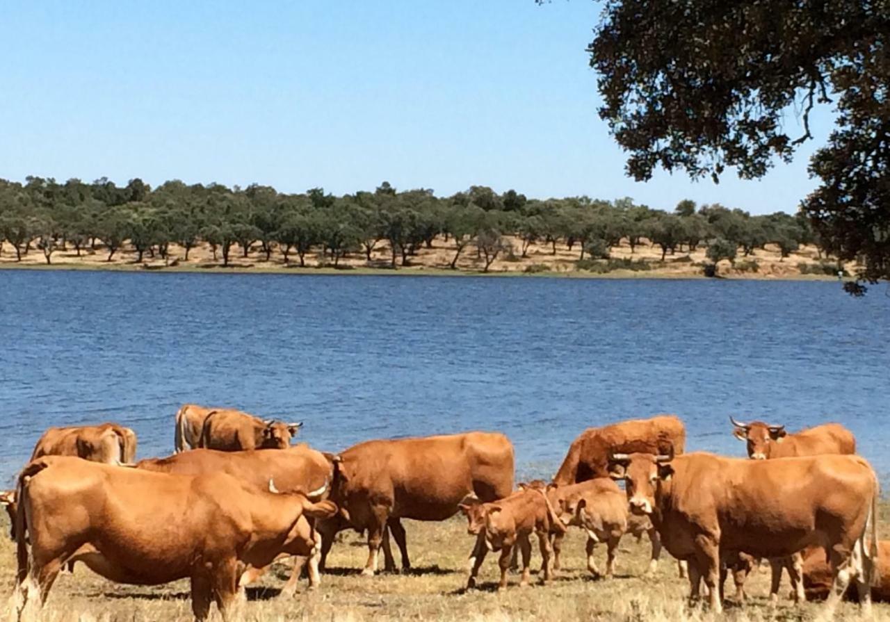 Herdade Da Burquilheira Family Retreat Alcacovas Экстерьер фото
